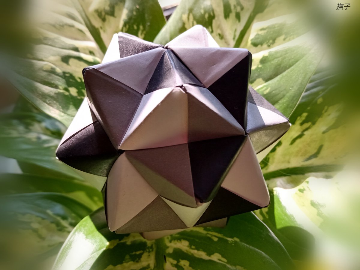 DayanaDelaO's tweet photo. #papiroflexia #manualidades #artPaper #折り紙 #оригами #бумагаискусство #arteCarta #artPapier #OrigamiArt #origamipaper #origamiLove #origamiWork #kusudama #kusudamaOrigami #OrigamiModular #origamiLove #OrigamiLovers #Origami https://t.co/8DZagHbaHl