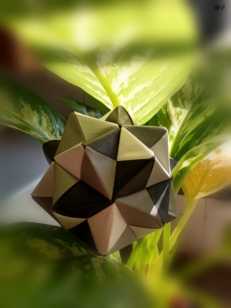 DayanaDelaO's tweet photo. #papiroflexia #manualidades #artPaper #折り紙 #оригами #бумагаискусство #arteCarta #artPapier #OrigamiArt #origamipaper #origamiLove #origamiWork #kusudama #kusudamaOrigami #OrigamiModular #origamiLove #OrigamiLovers #Origami https://t.co/8DZagHbaHl