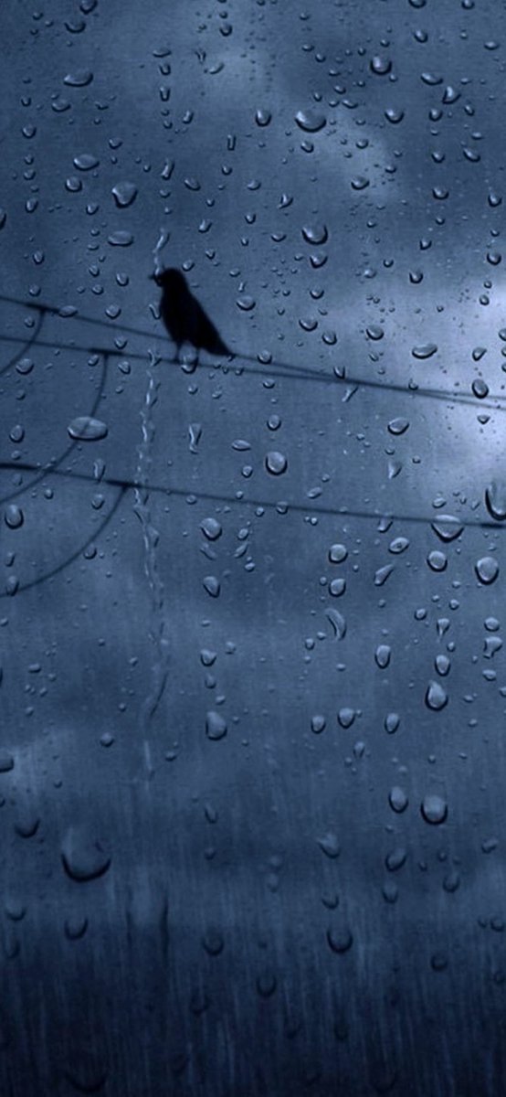 rizviite's tweet photo. Do not be angry with the rain, it simply does not know how to fall upwards ⛈️✨
#RainyKarachi ❤️💧 https://t.co/5KHbGF8itL