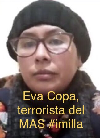 radiomanus's tweet photo. Estás 3 mandarinas son otra plaga sediciosa! https://t.co/nPYOooc1w9