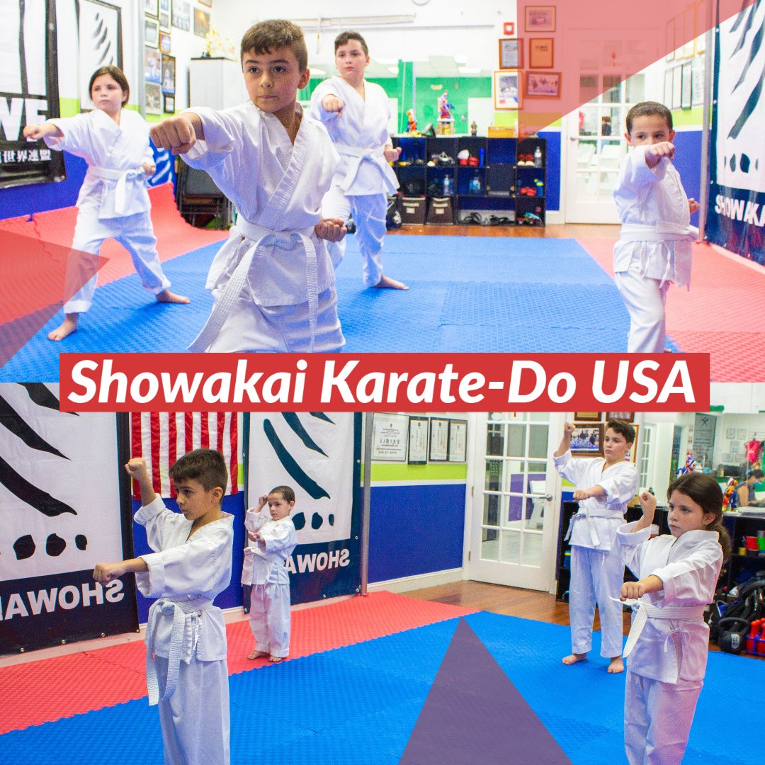 showakaiusa's tweet photo. The great capacities are always in us, within us.
#Darwinrojassensei #showakaikaratedousa #karatepower #karateshotokan #Health #Miamikarate. #showakaiusa #team #martialarts. #dojomiami #Dojokarate #mindcontrol #USAkarate #familydojo https://t.co/ofit0wBIWn