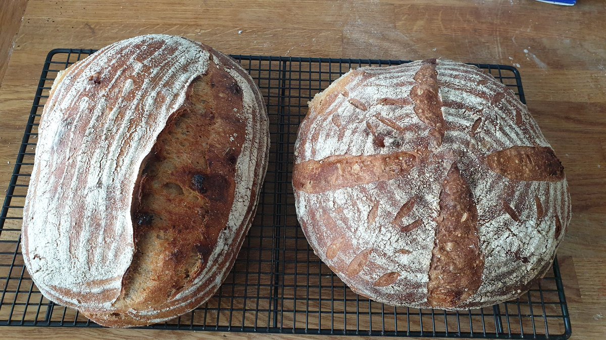 Toadoftoadhall7's tweet photo. This morning's bakes... sourdough bread with fig, spelt and sunflower seeds, and sourdough bagels.
#LockdownBaker https://t.co/dv2jQ2on80