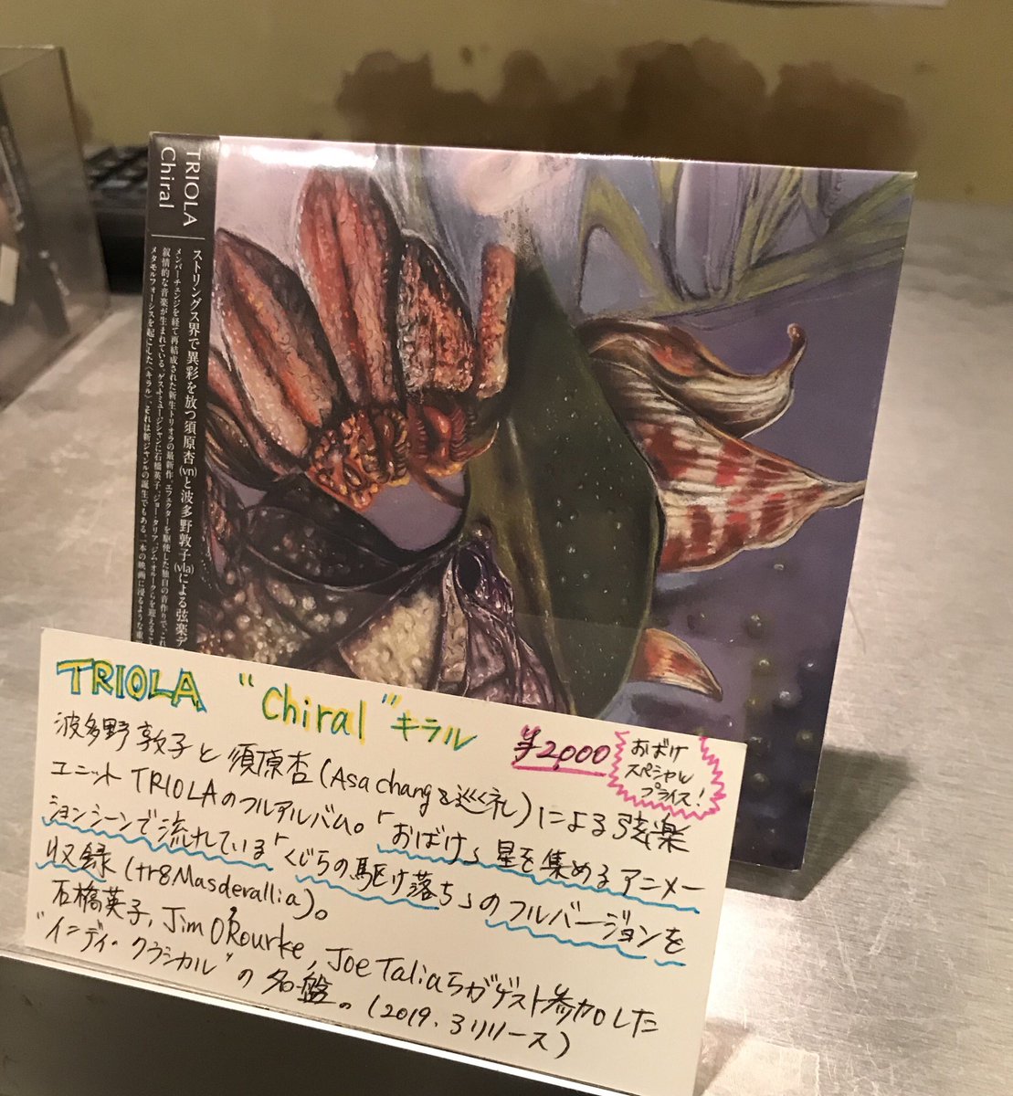 nameohara's tweet photo. 『おばけ』関連CDとしてTRIOLA「Chiral」販売開始。解説：波多野敦子と須原杏による弦楽ユニットTRIOLAのフルアルバム。劇中で星を集めるアニメーションシーンに流れる「くじらの駆け落ち」フルバージョン収録。石橋英子、ジム・オルーク、ジョー・タリアらがゲスト参加したインディ・クラシカルの名盤 https://t.co/zKdkMtXRqv