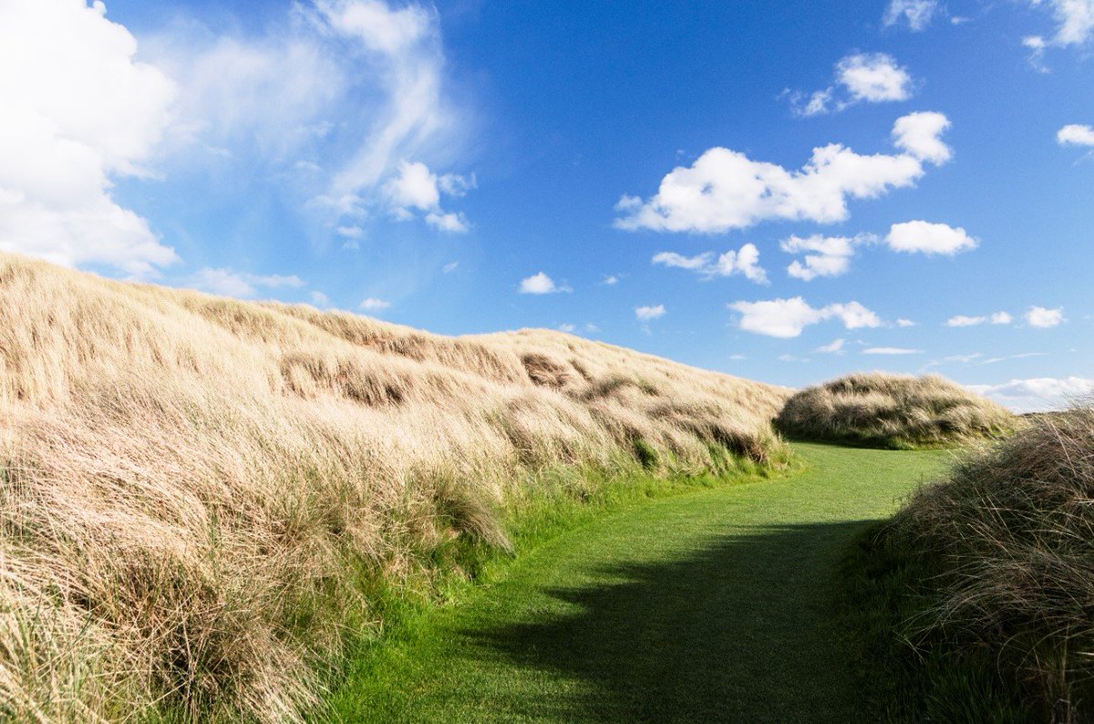 TrumpScotland's tweet photo. Primarily a walking course, Trump International Scotland makes sure even the distance between each hole is a pleasure at each turn. #CartPaths #TrumpInternationalScotland https://t.co/OaLWcSUlrV
