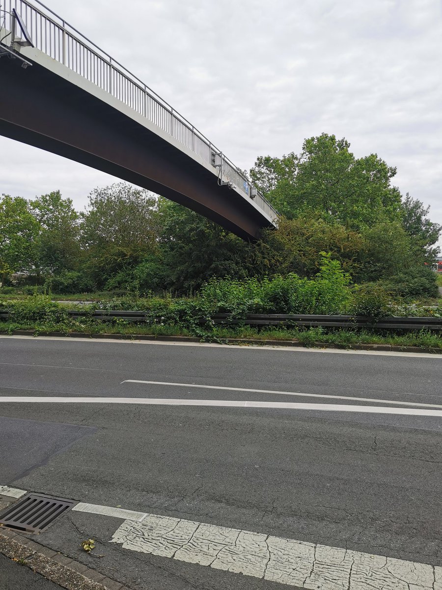 Etwas unscheinbar ist Stop 3: der Standort des ersten Stadions des  @BVB, die Weiße Wiese.  #20JahreSG