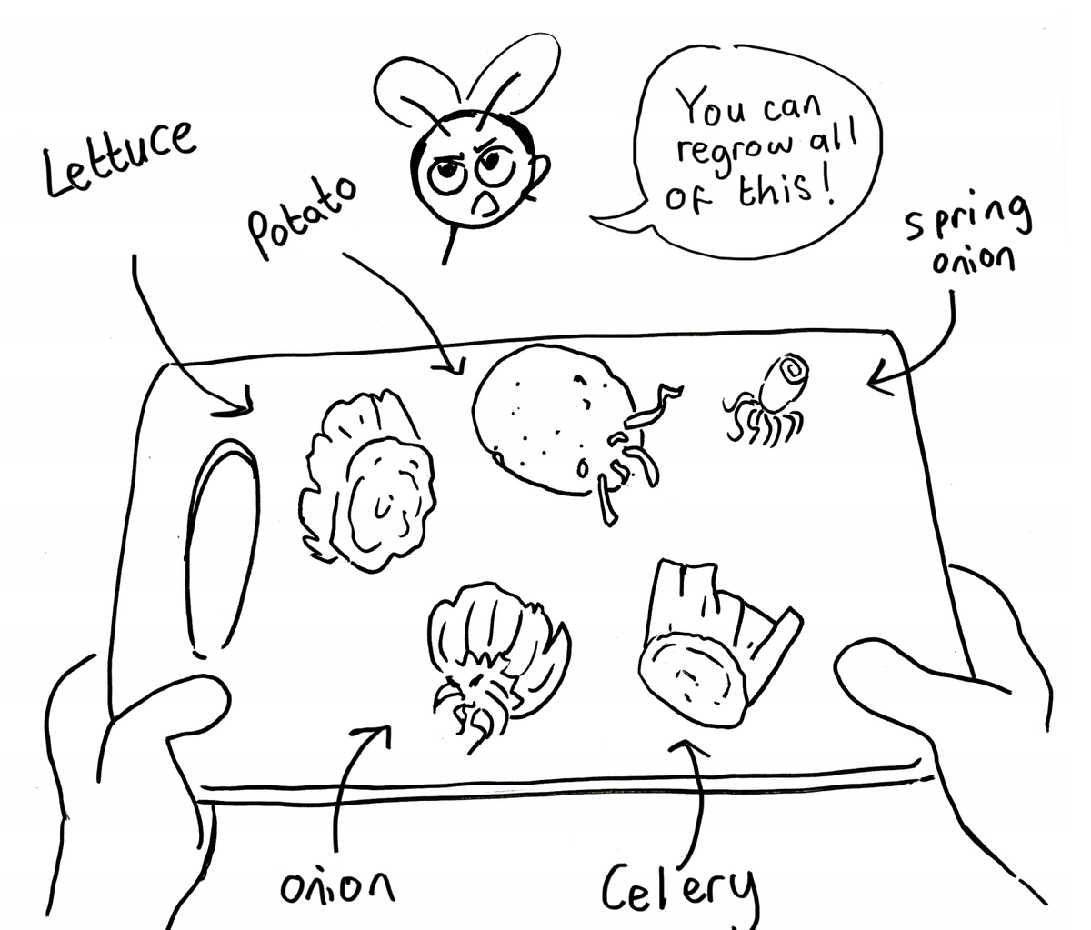 TheHeartofGlass's tweet photo. For artist @Cath_garvey our #CareCompendium was all about "making something useful that young people can read and enjoy". We've taken away so many helpful tips from 'Get Growing' it makes you wonder why we ever need to have #foodwaste again! For more info: https://t.co/LrHoQHbMGp https://t.co/0LdRxfkGpP
