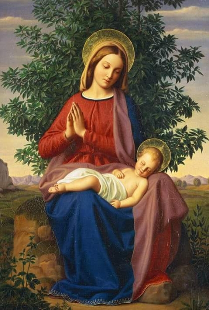 SantosIglesia's tweet photo. ¡Santa María en sábado! 
    El día sábado muy especialmente lo consagramos a honrar al inmaculado   corazón, a ofrecer actos de reparación por las ofensas que recibe https://t.co/kg7HmdVSPu