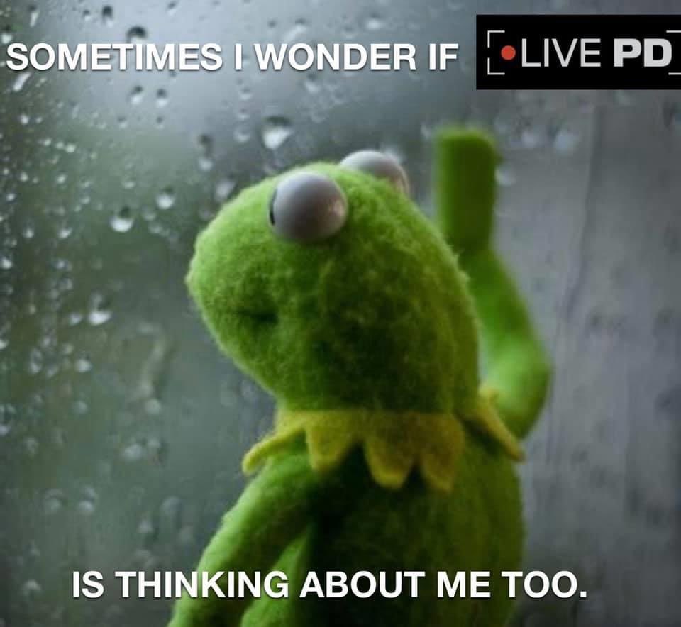 terrye_thorp's tweet photo. #pondering #LivePD @danabrams @TomMorrisJr1 @Sean_C_Larkin #missingUguys https://t.co/sYJDbcZkfu