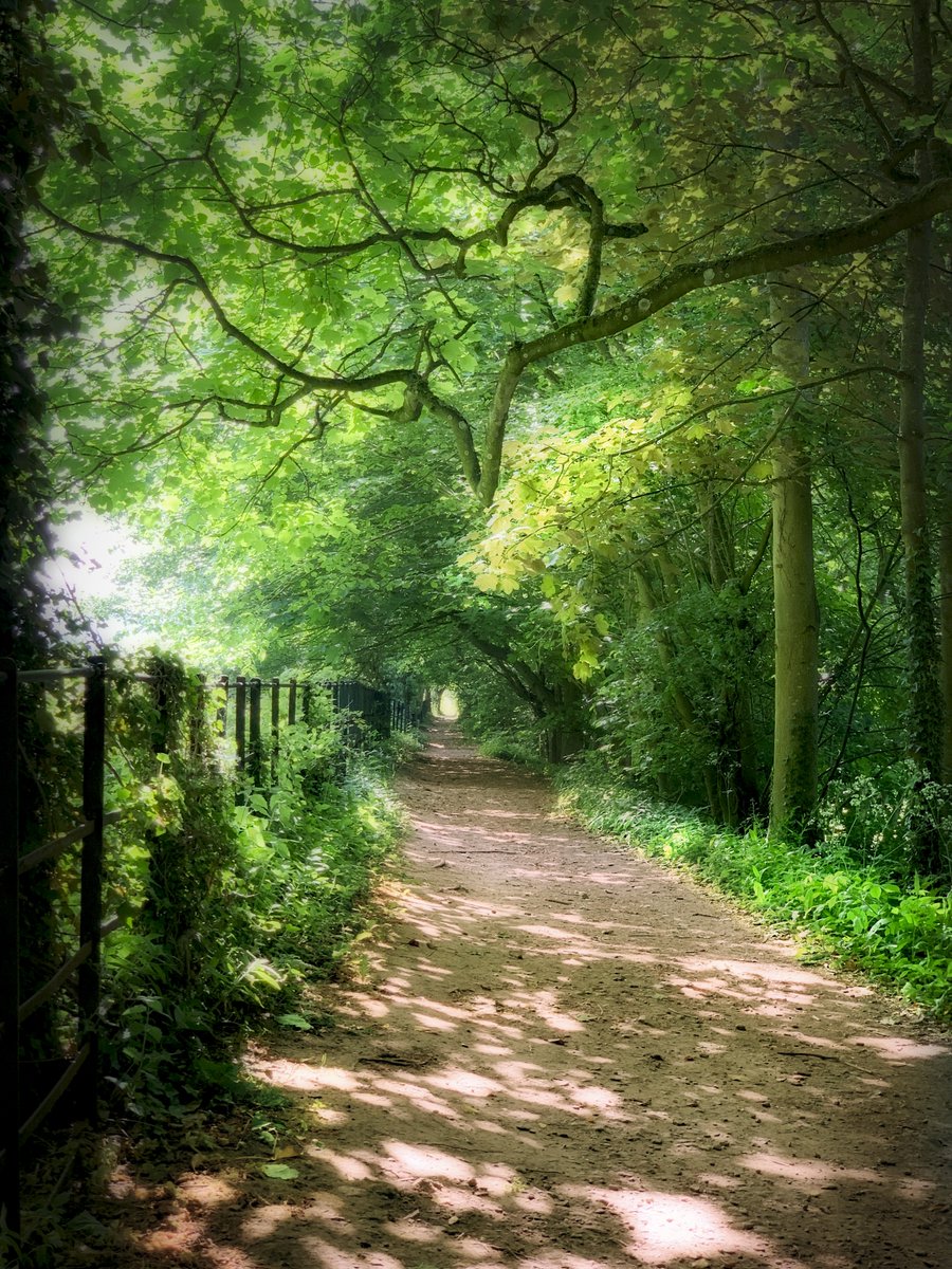 RichmondYorks's tweet photo. If you're visiting Richmond this summer, there are some fabulous walks right from the centre of town. The walk to Easby Abbey is glorious in the sun.
More information about walking &amp; rambling on the website: https://t.co/aFJiWanqWd

#richmond #richmondyorks #loverichmond #rol https://t.co/p2Md9JIVG2