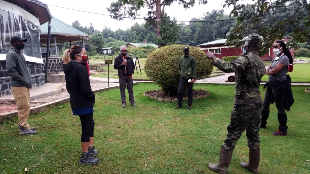 RwandaPark's tweet photo. #ThisMorning at Volcanoes National Park. Don't miss this opportunity to enjoy our attractions including #MountainGorillas.@GorillaDoctors @NatGeo @DavidToovey @MusanzeDistrict https://t.co/A93lTyCf29