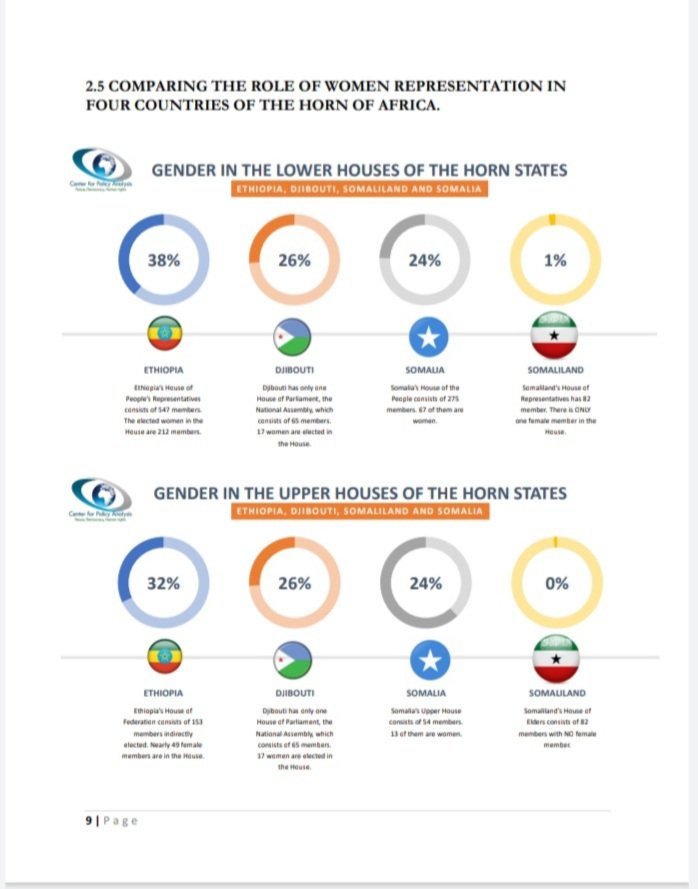 Center for Policy Analysis in Horn of Africa tweet media