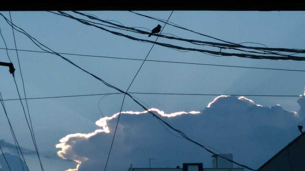 1234Katta's tweet photo. వెండి మబ్బుల ఆకాశానికి దూరమై
వింత సాలెగూళ్ల చిక్కుల్లో ఓ పిట్ట.
నగరపు అల్లికల మాటున 
ప్లాస్టిక్ జాలపు చోటున

ఆలోచిస్తూ కూర్చుంది.
ఏదో 2.0 via Facebook https://t.co/JbVbyyulpW https://t.co/qvCva4v5sE