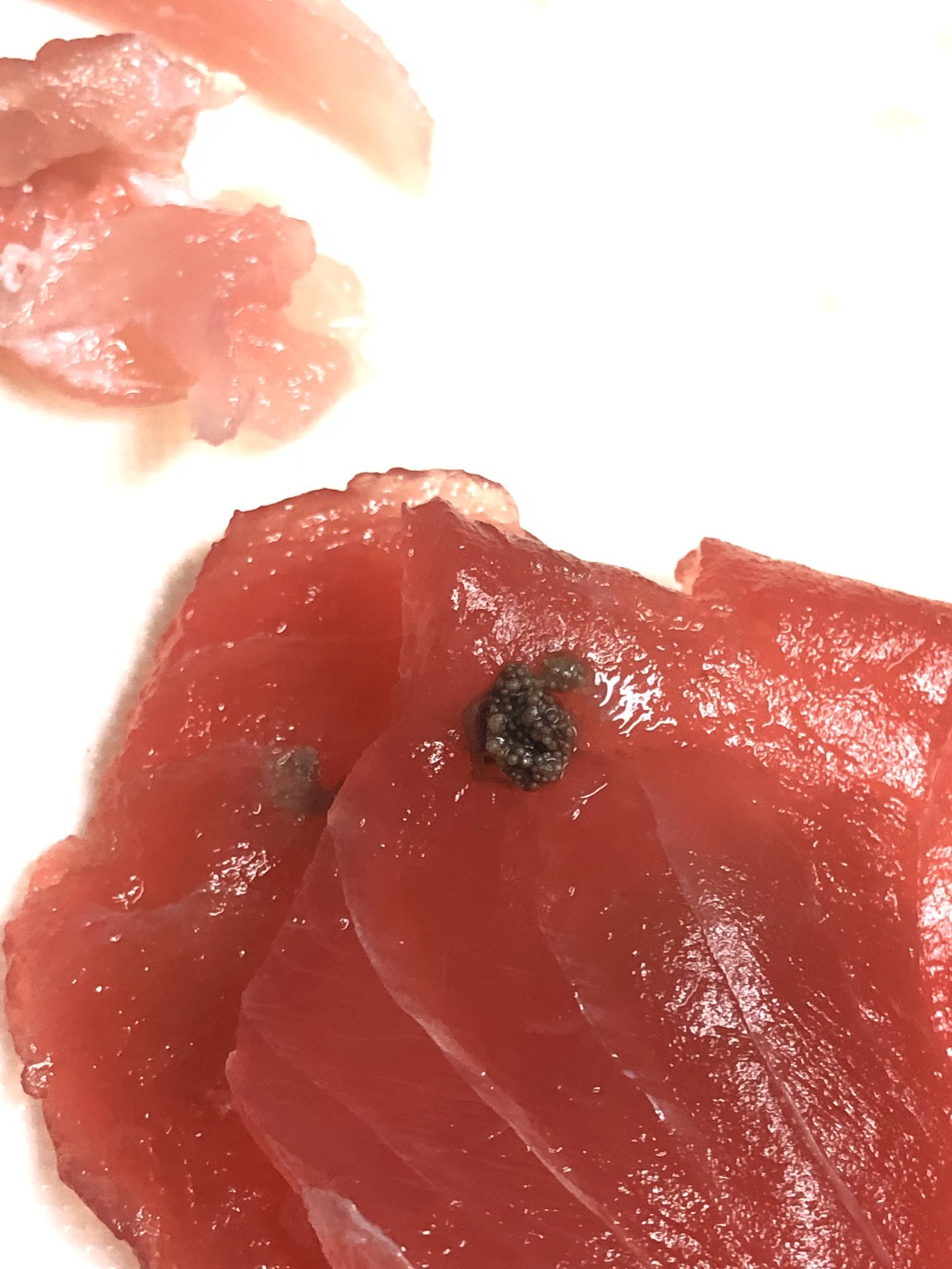 ぴよ子 特定お願いします 鍵の友人からなんですが マグロのお刺身になんかの卵 らしきものが付いていたらしく この黒い粒々がなんなのか特定してほしいです よろしくお願いします 教えて虫の人 寄生虫 T Co Cpaditt2yh Twitter