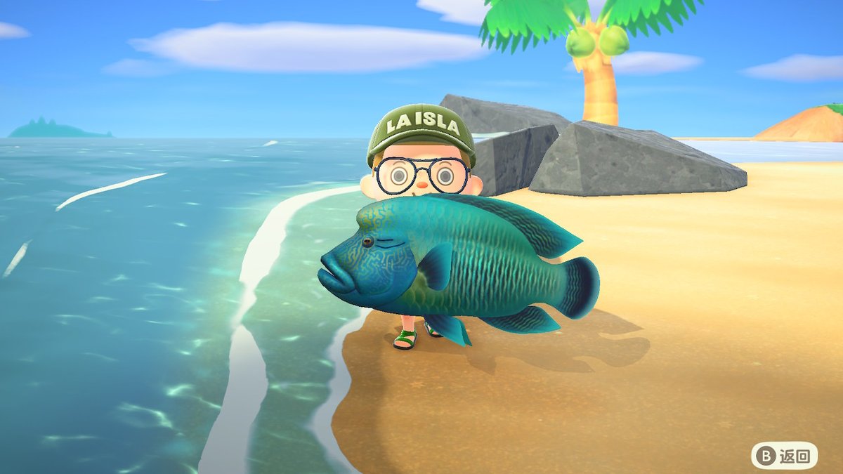 #动物森友会 #AnimalCrossing #ACNH #NintendoSwitch