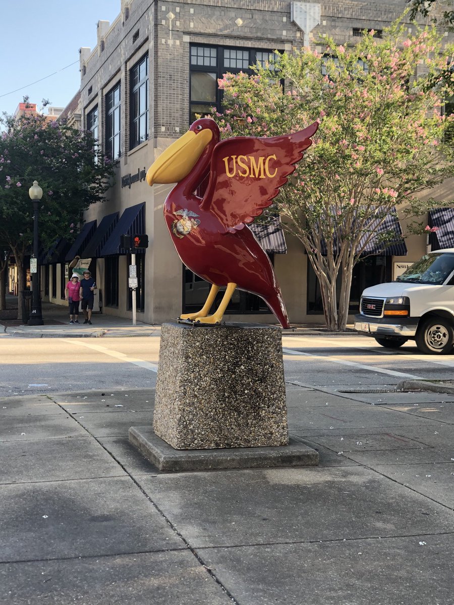 CoachWolterUWF's tweet photo. I β€οΈ this city!! Running these streets gives me a deep appreciation for how grateful I am to GET to live here! #GoArgos #UWFVB #8Before8 #RunPensacola #FitFightsDisease #FitLeaders #Pelicans #CampLegs https://t.co/hb1Fd94UBD