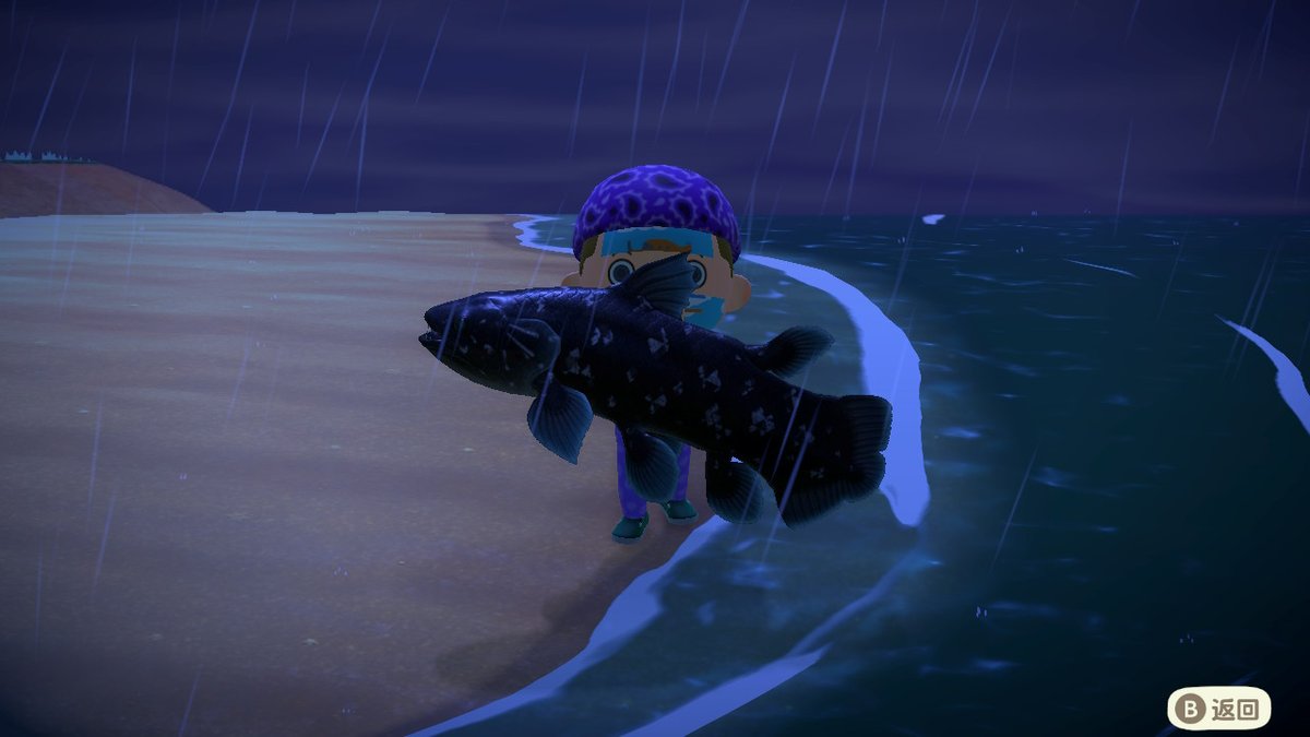 #动物森友会 #AnimalCrossing #ACNH #NintendoSwitch