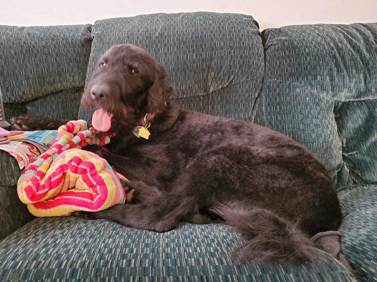 oh yeah and look at my dog