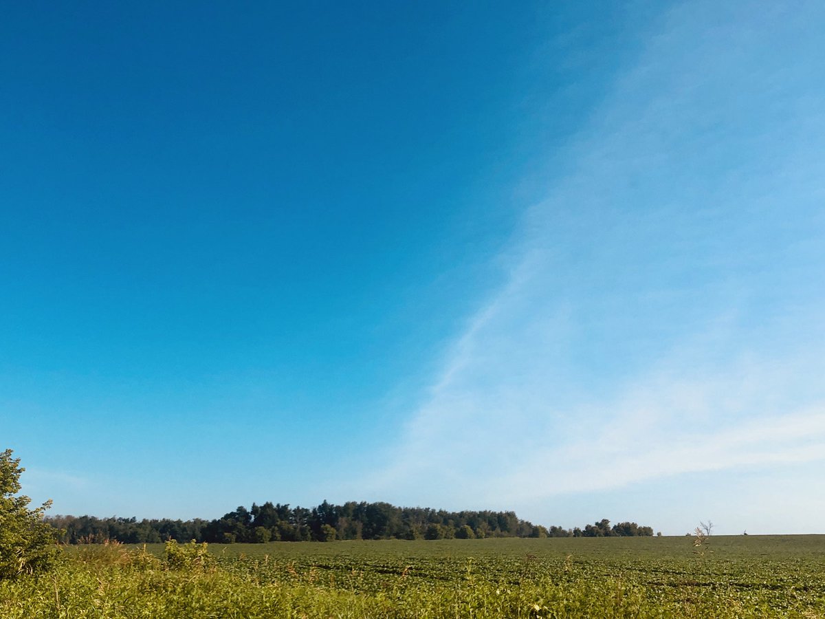 LaguitoGal's tweet photo. 5k in this morning through beautiful countryside - forest & farmersโ fields.
Stay cool, Southern Ontario - 38 with the humidex this aft. ๐๐ฅต โ๏ธ
#CountryRunner #TrailTime #BlueSkies https://t.co/GQElazCrQf
