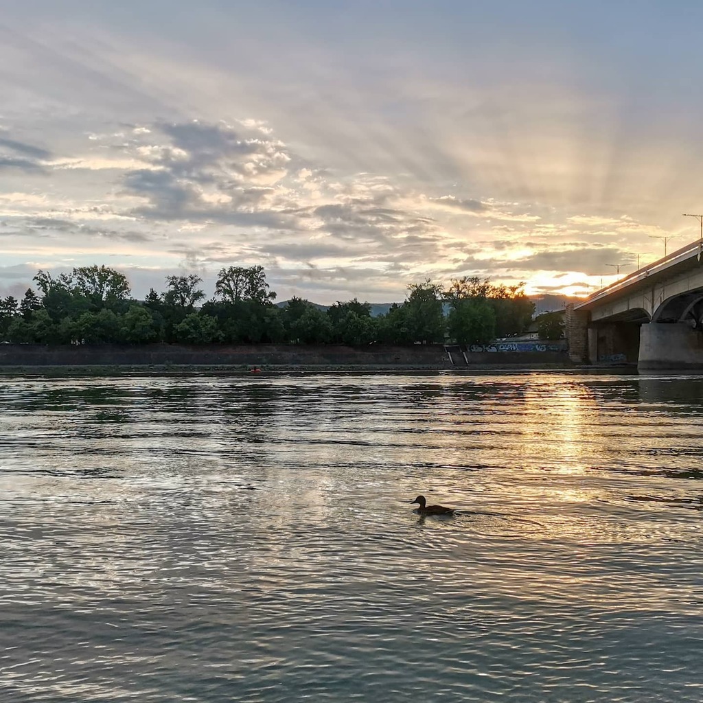 lattechillmusic's tweet photo. Danube Sunset and ducks
.
.
.
#sunset
#sunsetmadness #sunset_pics #sunsetlovers #sunsetfinder #sunsetphotography #sunsetgram
.
#danube #budapest
#duck #ducks
#honor20pro #honor https://t.co/9Y3BLHpy7B https://t.co/SNvCJ6mCPT