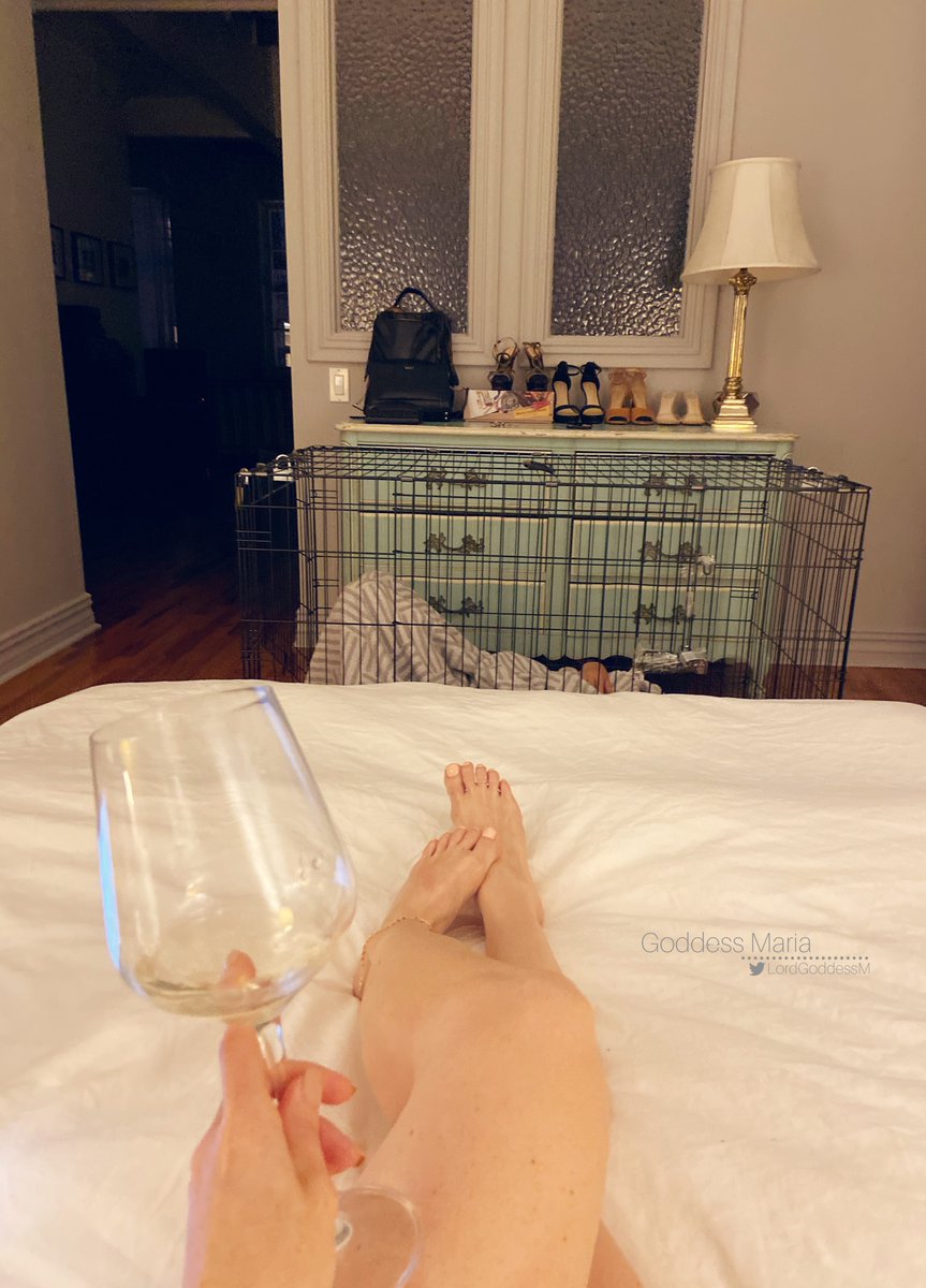 LordGoddessM's tweet photo. Now that I'm looking at it, the kennel for the live in slave is a bit on the roomy side. There is definitely space for two pathetic losers. 

Two subs, one cage?

| domestic slave full-time slave FLR real-life slave| https://t.co/wY2SnMs4bI