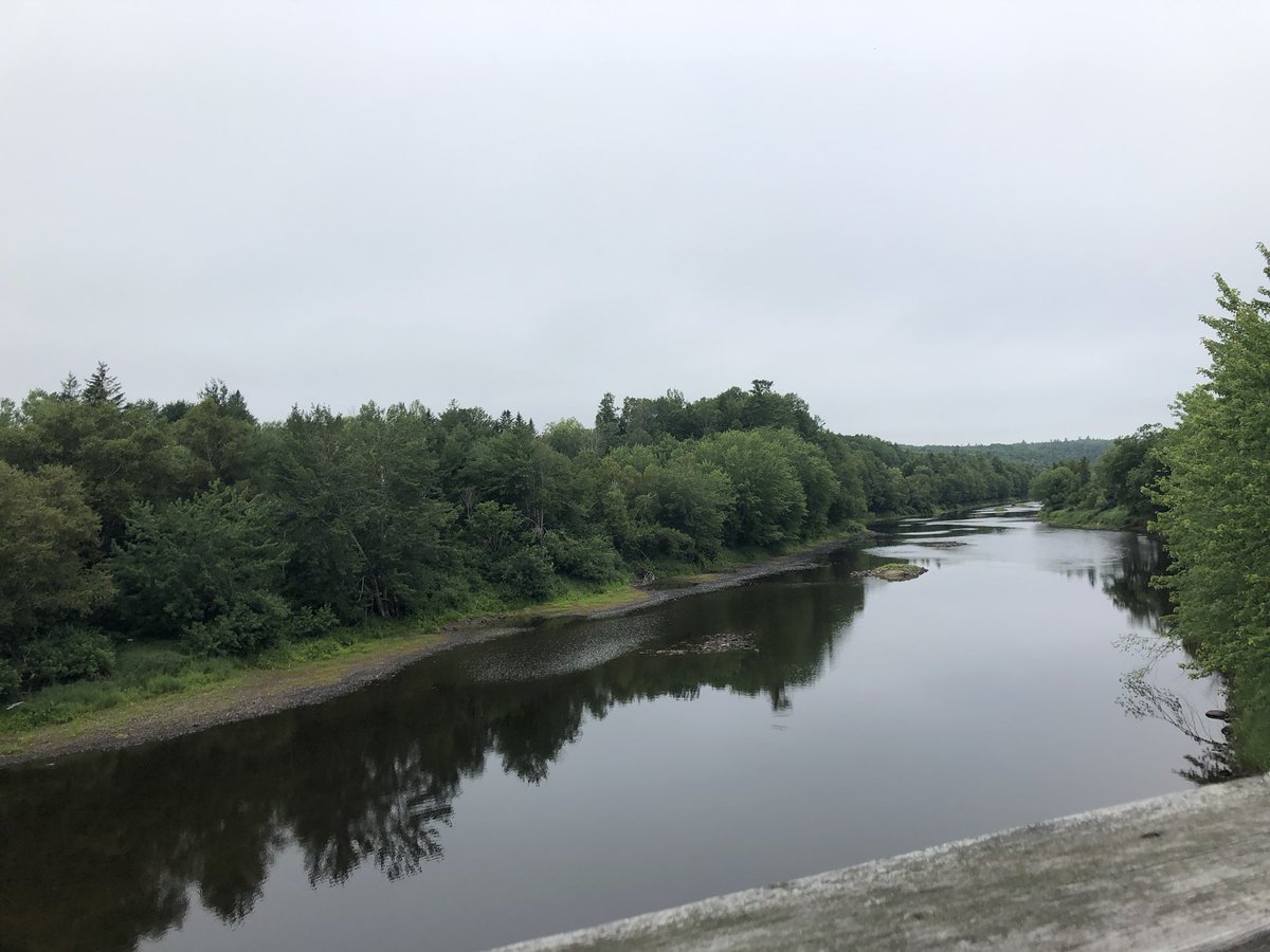 Andrew__Holland's tweet photo. Logged a muggy 8km run for the COVID-19 Atlantic Good Clean Virtual race. My route was Marysville to Penniac and back #GoodCleanRun #WearaMask #WashYourHands #COVID19 Thanks for the medal and mask @AtlanticChip ! #NB #running #solorun https://t.co/ZF4RATAUH0