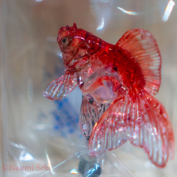 飴 高画質 のtwitterイラスト検索結果 古い順