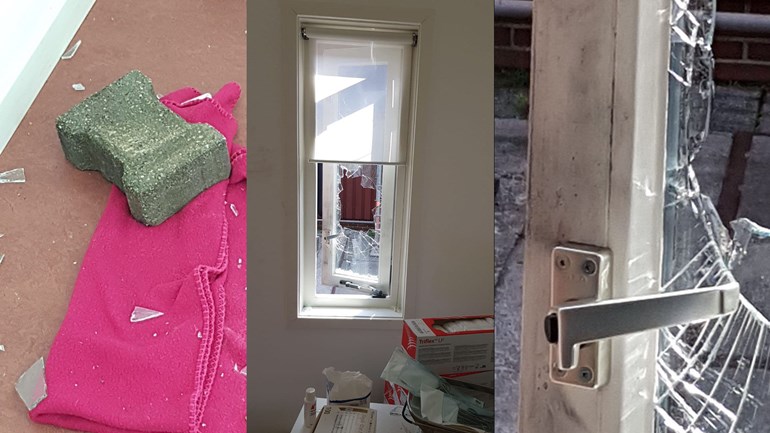 Dierenkliniek voor minima gedupeerd door inbraak: 'Balen is nog zwak uitgedrukt'..