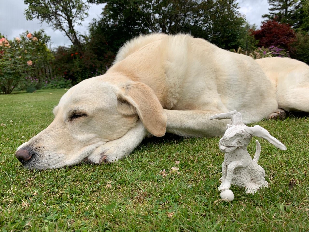 greyfriars_kirk's tweet photo. 3rd tutorial coming Monday #artforeveryone
Models of Toby, Rev Frazerβs dog Guiness, & sculptor Markβs Scrumpy. Novice or expert, different takes, fun for everyone!
https://t.co/hatvf5Vw2z #lockdownbobby https://t.co/ji3bkzZNoF