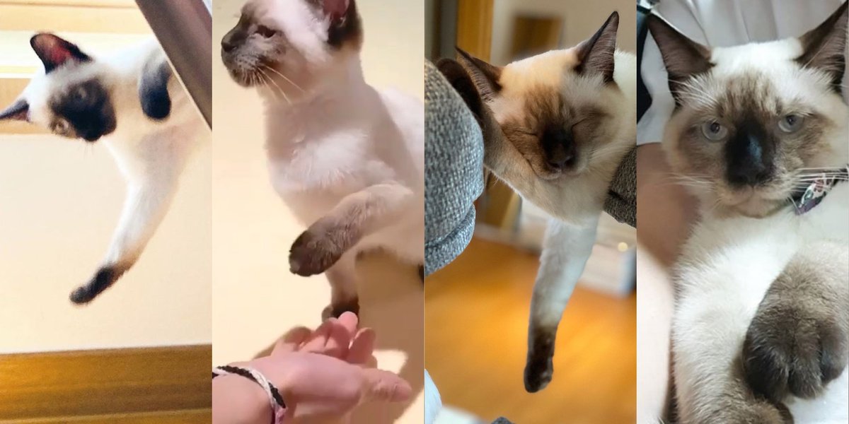 ท็อปฟอร์มทุกคัมแบค