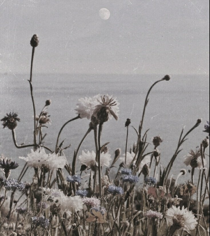 otdisseo's tweet photo. ✎┊❝ 𝘢𝘧𝘵𝘦𝘳 𝘭𝘢𝘶𝘨𝘩𝘪𝘯𝘨 𝘭𝘪𝘬𝘦 𝘢𝘯 𝘢𝘥𝘶𝘭𝘵
       𝘦𝘷𝘦𝘯 𝘸𝘩𝘦𝘯 𝘤𝘳𝘺𝘪𝘯𝘨 𝘭𝘪𝘬𝘦 𝘢 𝘤𝘩𝘪𝘭𝘥
       𝘸𝘦 𝘢𝘳𝘦 𝘷𝘦𝘳𝘺 𝘴𝘪𝘮𝘪𝘭𝘢𝘳, 𝘵𝘰𝘨𝘦𝘵𝘩𝘦𝘳.❞

⠀ ⠀ ✧ 𝐊𝐢𝐝𝐮𝐥𝐭 - 𝐒𝐄𝐕𝐄𝐓𝐄𝐄𝐍

【 #CaratKidultDay #SEVENTEEN @pledis_17 】 https://t.co/OdayrKO8pS
