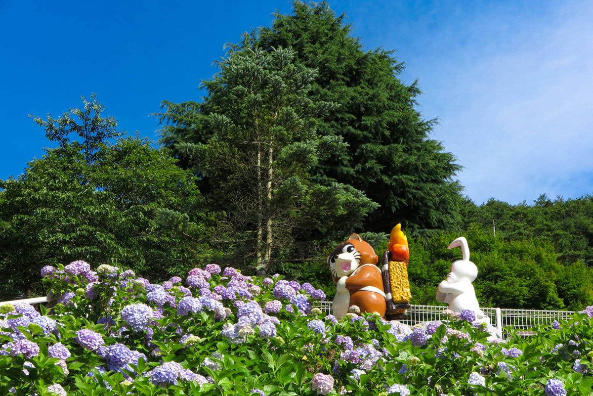 おぞね カチカチ山ロープウェイ入口にもタヌキとウサギの像があった 笑 河口湖周辺は紫陽花が見頃でした 河口湖 カチカチ山 へやキャン ゆるキャン 紫陽花