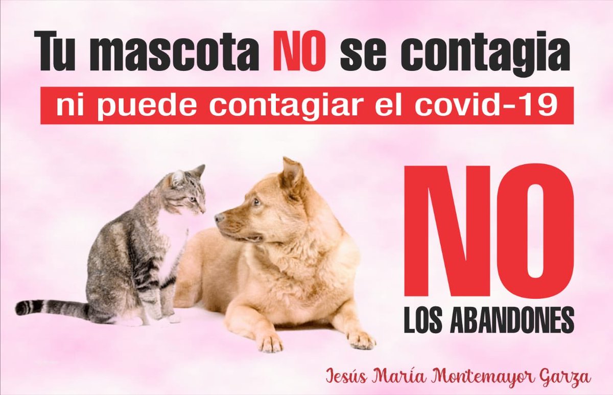 Buenos días.

Nuestras mascotas también son parte importante en nuestra familia porque nos regalan su amor incondicional.

¡Cuidemos de ellos!

Bendecido sábado.

#JuntosContraElCovid