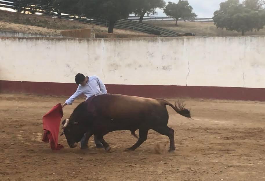 JDavidLorente's tweet photo. El pasado lunes cumplió 16 años.. es el más joven de todo el certamen de canal sur...
Se ha forjado en el campo bravo de Jaén, y hoy a pesar de las circunstancias muchos ojos estarán pendientes de él...
Es alumno de la @ETaurinaJaen y se anuncia Marcos Linares, como su pueblo 🍀 https://t.co/yeCjrZd8tQ