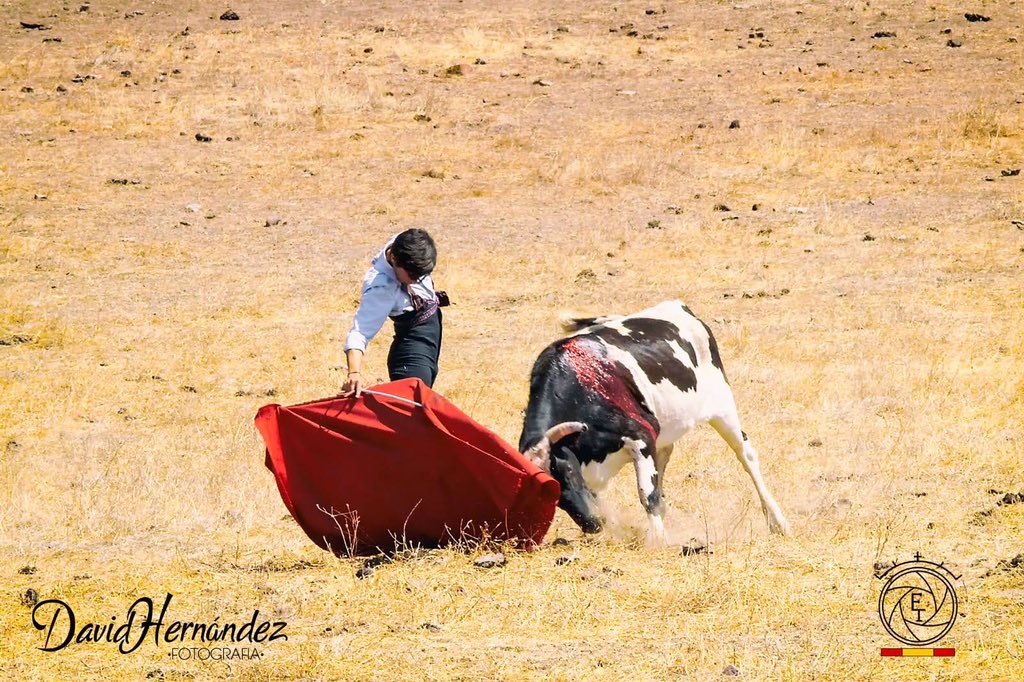 JDavidLorente's tweet photo. El pasado lunes cumplió 16 años.. es el más joven de todo el certamen de canal sur...
Se ha forjado en el campo bravo de Jaén, y hoy a pesar de las circunstancias muchos ojos estarán pendientes de él...
Es alumno de la @ETaurinaJaen y se anuncia Marcos Linares, como su pueblo 🍀 https://t.co/yeCjrZd8tQ