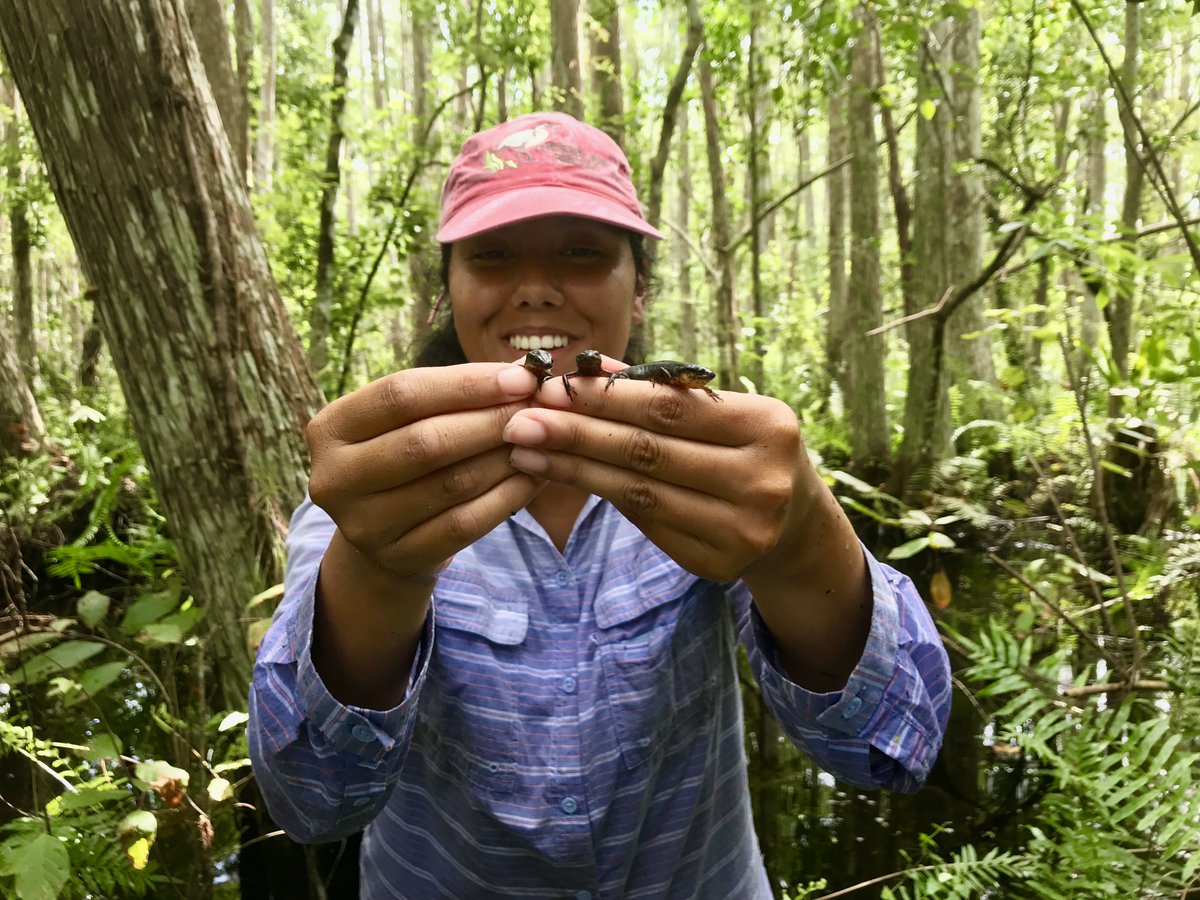 birdingmeli's tweet photo. I am hyped about #LatinoConservationWeek! I am so proud to be a Latinx in Conservation ❤️. I look forward to celebrating Latinx conservationists &amp; hope to inspire Latinx to explore the outdoors, protect natural &amp; cultural resources, &amp; fall in love with nature as I have #LCW2020 https://t.co/UKLTV89W7T