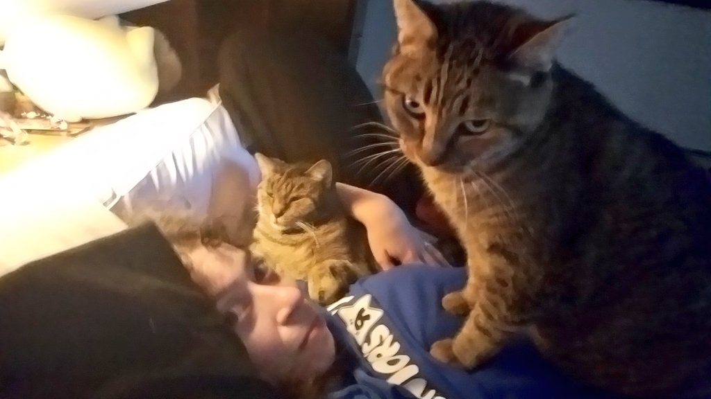 ClayRenaissance's tweet photo. This is why I can't get up in the morning. As soon as I awaken, they swarm me.
#Caturday #cat #CatsOfTwitter #cats #CuteCat #CuteCats #cattwins #ilovemycats #catchildren #furbabies https://t.co/6F8t68MCnf