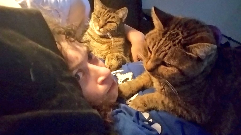 ClayRenaissance's tweet photo. This is why I can't get up in the morning. As soon as I awaken, they swarm me.
#Caturday #cat #CatsOfTwitter #cats #CuteCat #CuteCats #cattwins #ilovemycats #catchildren #furbabies https://t.co/6F8t68MCnf