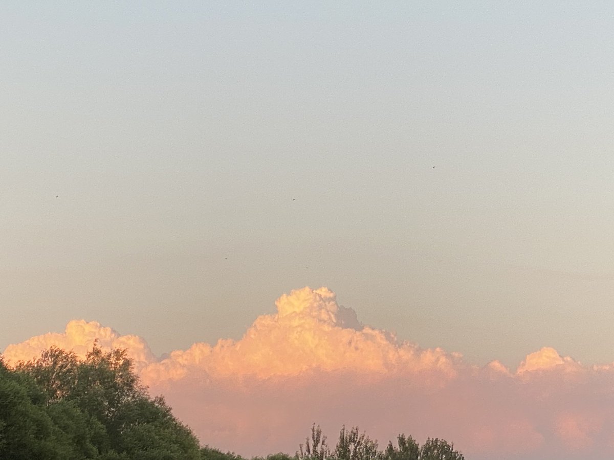 Sibyl80011317's tweet photo. Today's candy sky~
🍬☁️
#ttskygallery
#taytawan #Newwiee
#เตนิว https://t.co/SPyR5diDAP