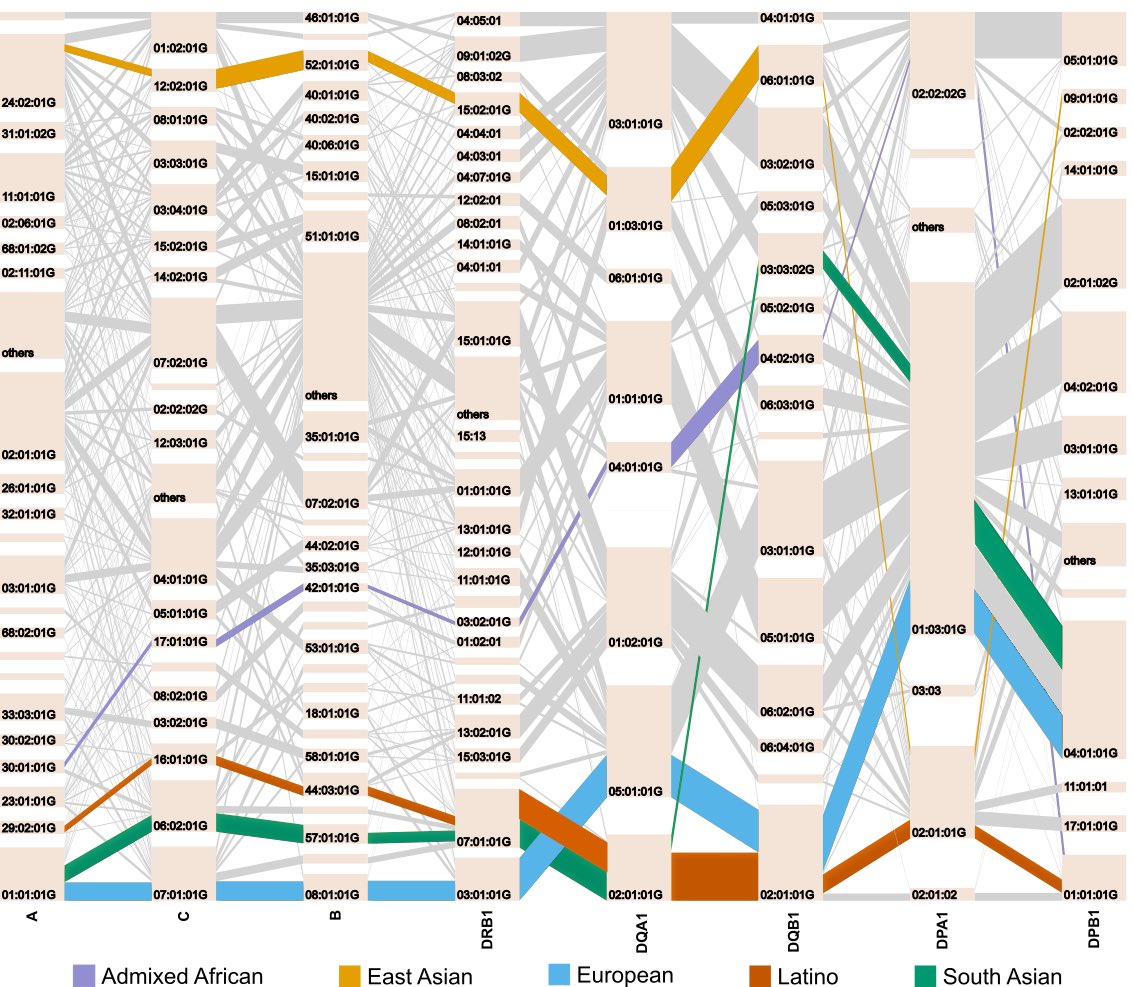 2/6 we observed unique long-range HLA haplotypes within each population group. This highly population-specific feature implies multi-ethnic fine-mapping studies can greatly improve the power for defining causal variations in the MHC region.