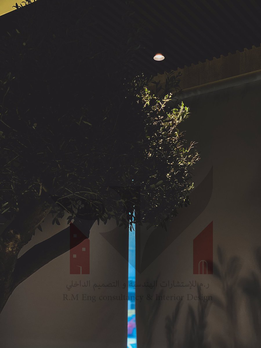 م.ريم مطر🇦🇪♥️ tweet media