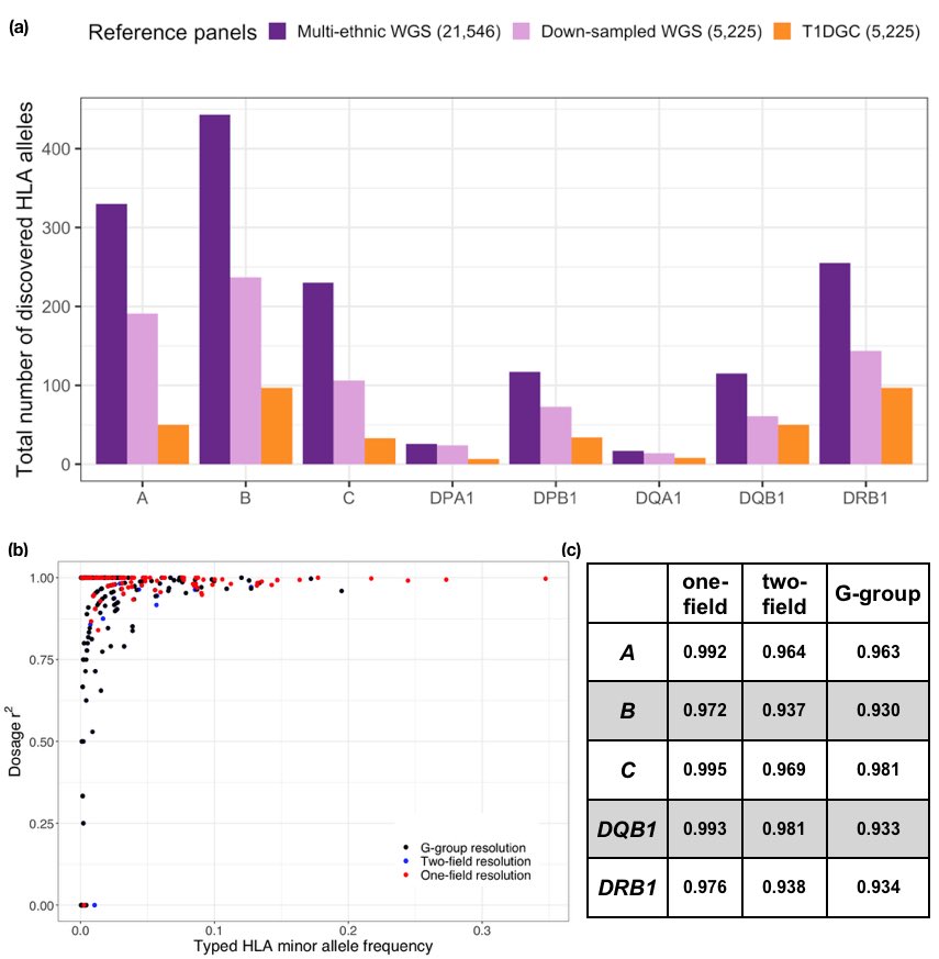 4/6 We showed that the constructed multi-ethnic panel can be used for highly accurate imputation in multiple populations.