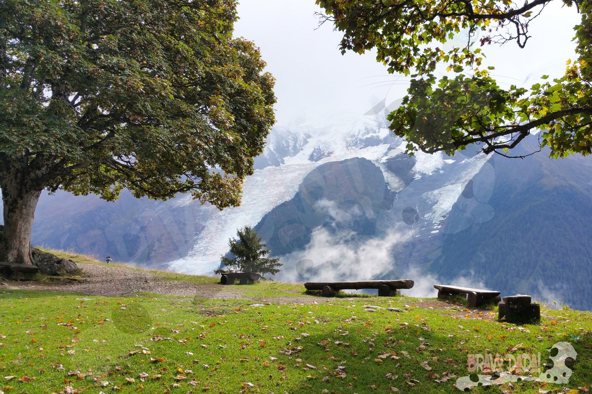 Bravo_Dada's tweet photo. 🌻🌿 Happy #Sunday #TwitterWorld! ☀️🌳

📸 Parc Animalier de #Merlet. 💕
These photos were taken in 2016. Hope you like it! 🥰

#BravoDada #LesHouches #ParcDeMerlet #Chamonix #MontBlanc #HauteSavoie #France #Nature #PhotoOfTheDay #Photography #Photo #Animals https://t.co/86FuLw6GsE