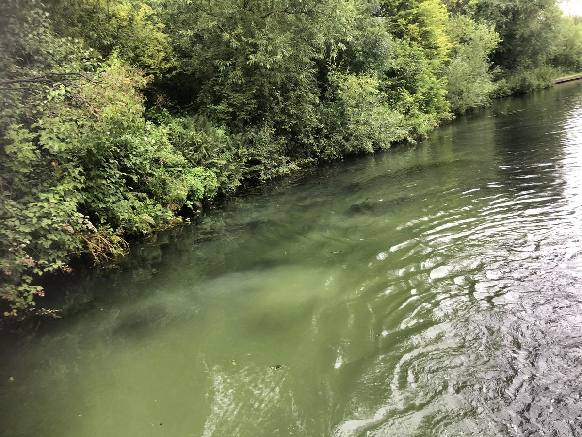 robbrownhx's tweet photo. Just visited the Southern Portal of The Dudley No1 Canal tunnel above Park Head Locks. Thatโs another @InlandWaterways #silverpropeller location. https://t.co/huZTq2h861