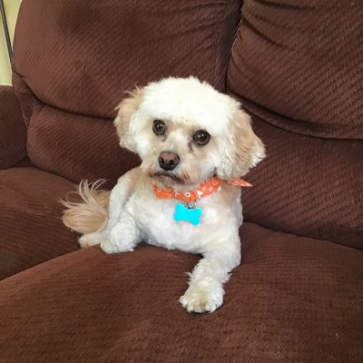 LemonDrop75's tweet image. #NewProfilePic