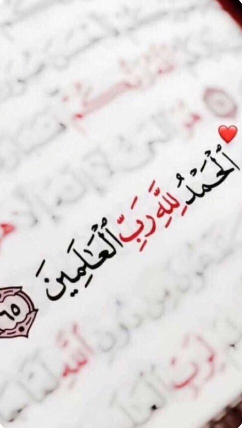 s22330090's tweet photo. الحمد لله رب العالمين ☘️ https://t.co/o3CHhBHcqM