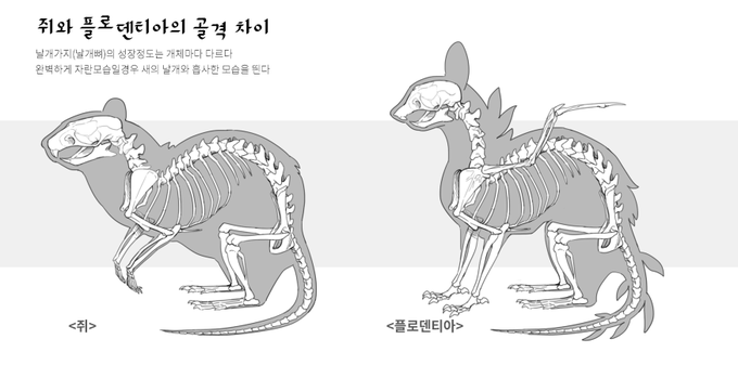 플로덴티아 체형정보랑 바리에이션 정리.. 
외형가이드라인 https://t.co/EMd5aGzcKk 