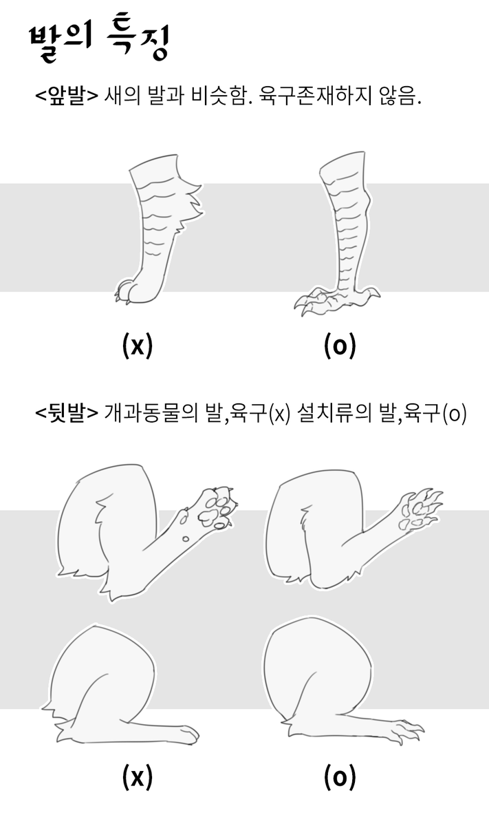 플로덴티아 체형정보랑 바리에이션 정리.. 
외형가이드라인 https://t.co/EMd5aGzcKk 