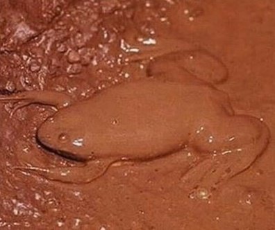 idk if i should keep on going