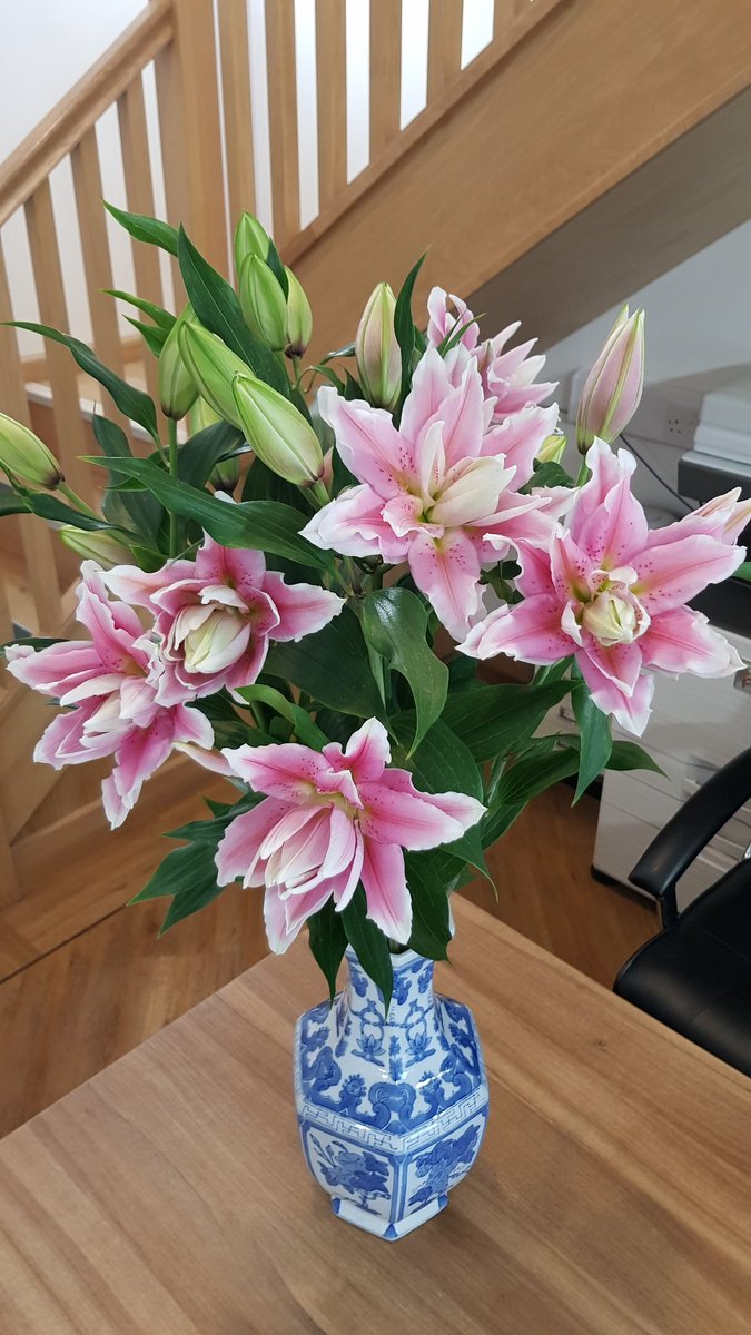 Collison cut flowers tweet media