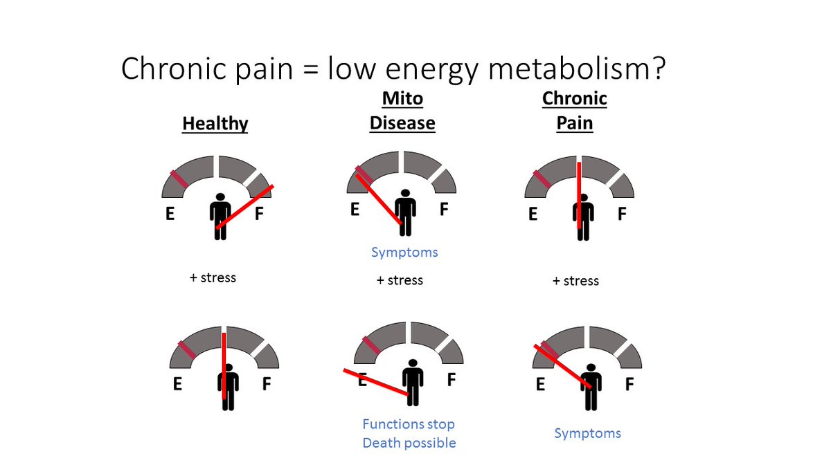 We hypothesized that chronic pain patients have a gas tank that is not completely full (healthy) nor almost empty (disease). Hence, most of the time they have enough energy to function. But when more energy is required (stress on body), the gas tank gets closer to empty.